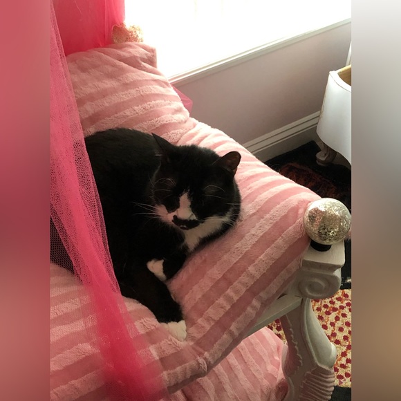 Meet your Posher, Melanie - Picture 7 of 14